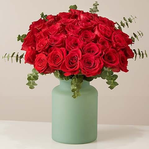 Love Promise: 50 Red Roses