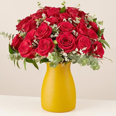 Warm Embrace: 24 Red Roses