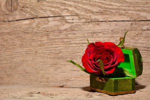 rose 557692 640 FloraQueen EN Christmas Paper Rose