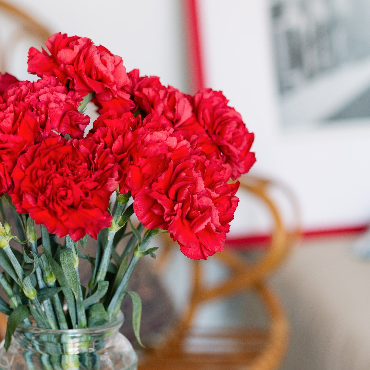 Red carnations