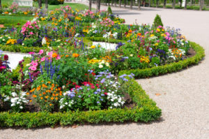 shutterstock 137484170 FloraQueen EN So Many Flower Beds: Which Should you Choose?