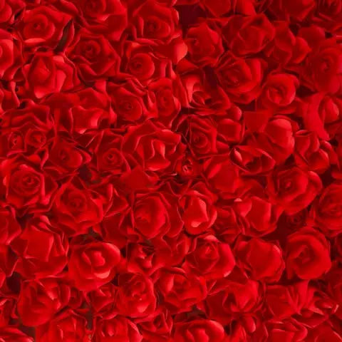 How Long Do Roses Last: A Complete Guide to Rose Lifespan - Flora