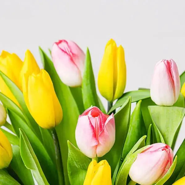 Pink & Yellow Tulips Delight