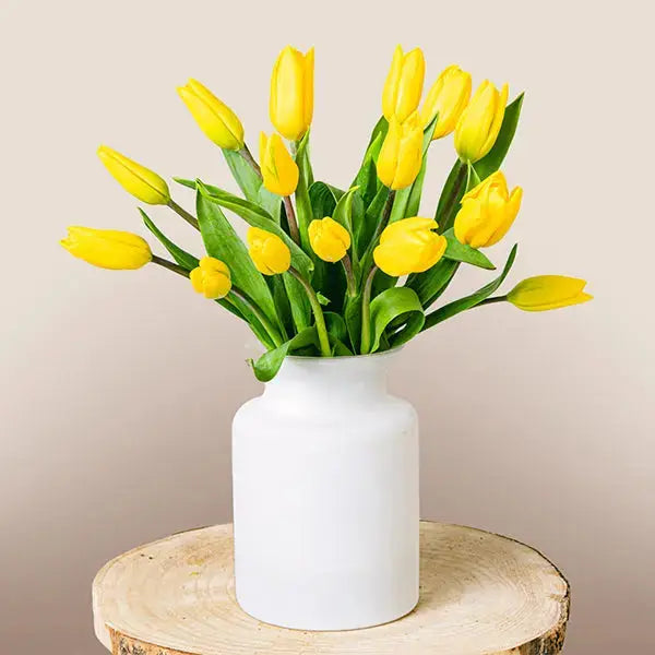Sunny Yellow Tulips