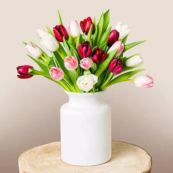 Women’s Resilience - Pink & White Tulips