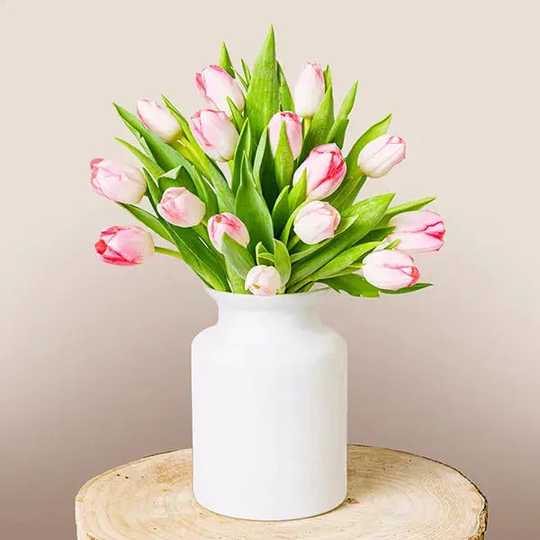 Blushing Pink Tulips