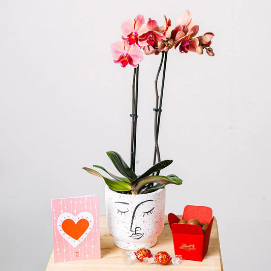 Reflection of Love Flora Queen