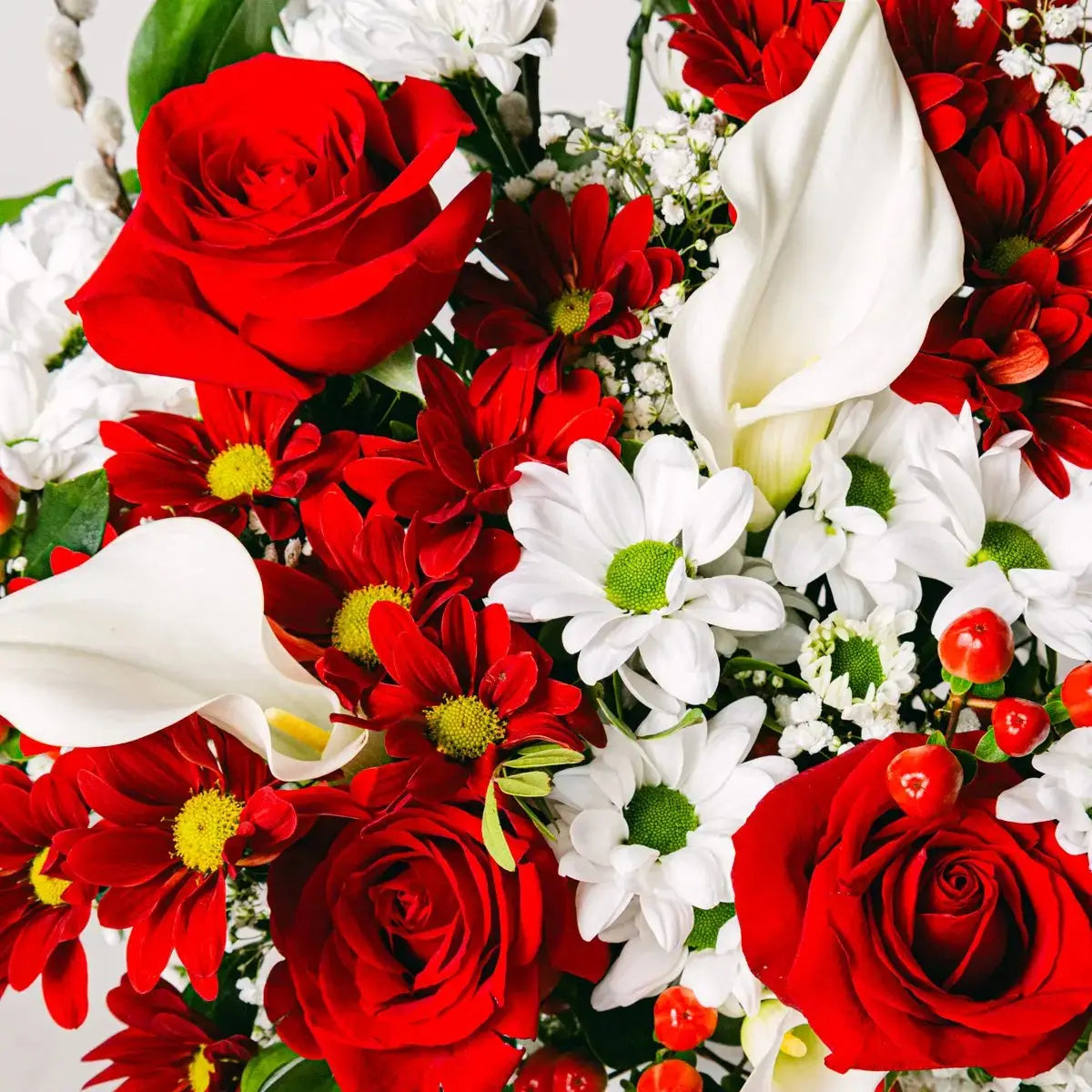 Gentle Harmony - Roses and Callas