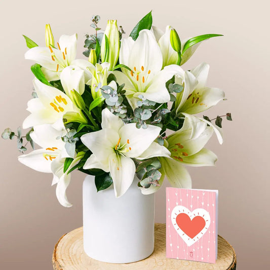 Bright Beginnings Flora Queen Flora Queen