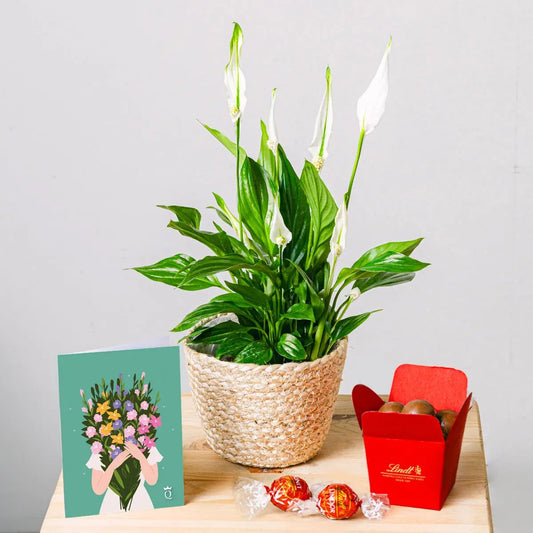 Light Reflections Flora Queen