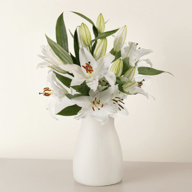 Promyk nadziei: białe lilie
