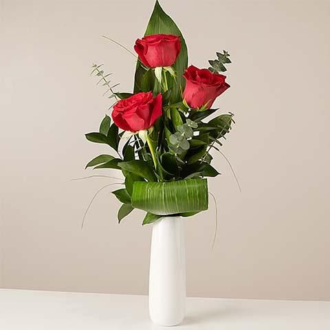 Romantic Reminder : Roses Rouges