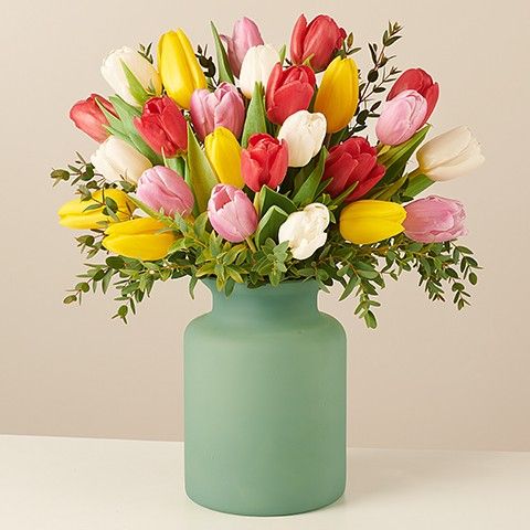 Tęcza: Kolorowych Tulipanów