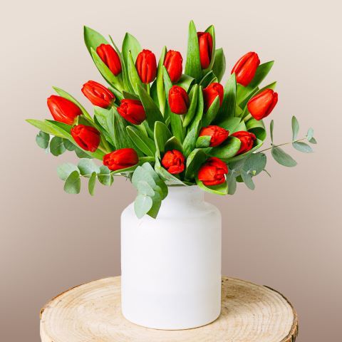 Scarlet Splendor: Rote Tulpen
