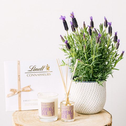 Lavender Dream: Candle, Mikado and Chocolates