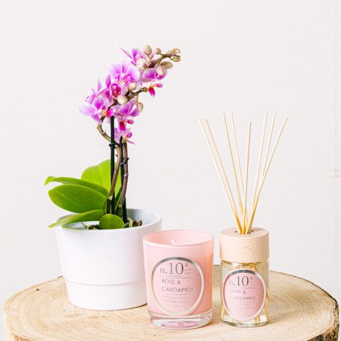 Pink Mini Delight: Orchidea, Świeca i Mikado