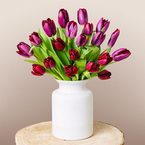 Blushing Love: Purple Tulips