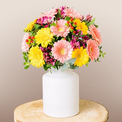 Product photo for Full of Life: Gerberas and Alstroemerias