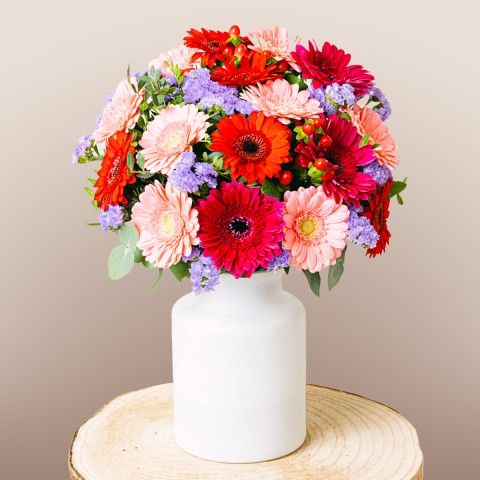 Product photo for Cocktail Multicolore : Gerberas roses et rouges