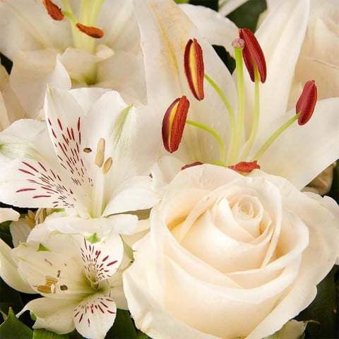 Pure White: Lilien und Rosen highlight