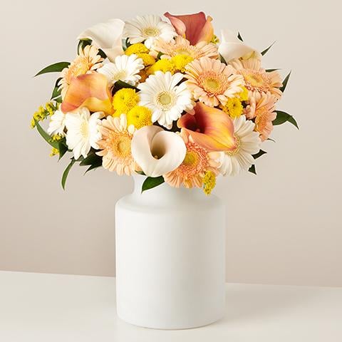 Life Vows: Gerberas and Calla Lilies