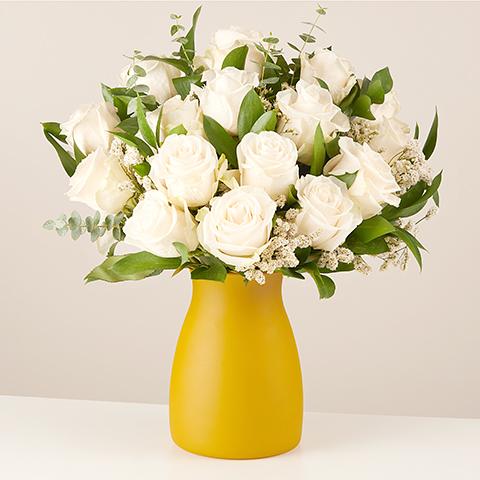 Roses's Elegance: White Roses