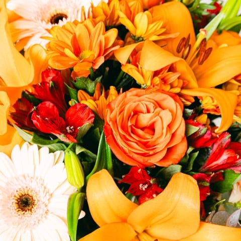 Saveur de Pêche : Lys et Roses highlight