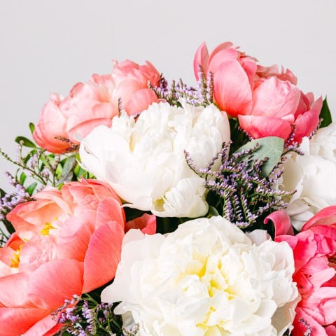 Coral Hug: Białe i Różowe Peonie highlight