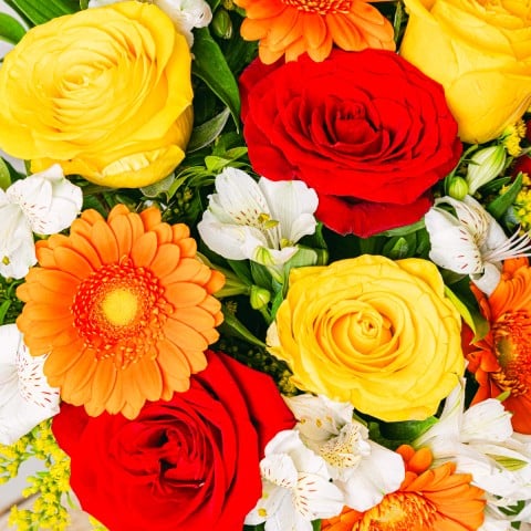 Floral Energy: Róże i Gerbery highlight