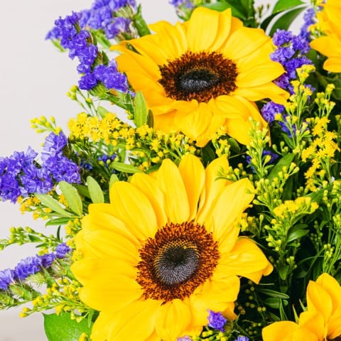Sunshine boost: Sonnenblumen und Statice highlight