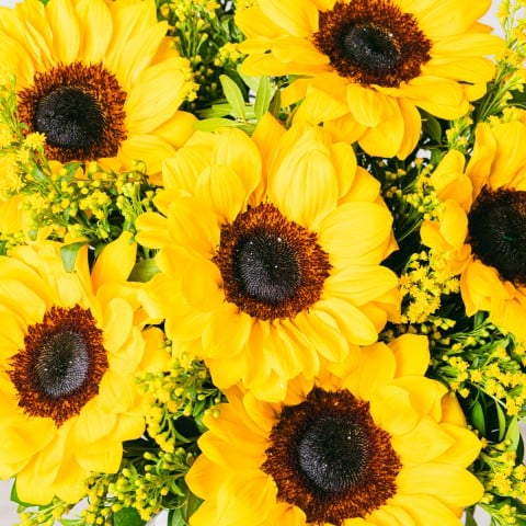 Golden Melody: Sunflowers and Solidago highlight