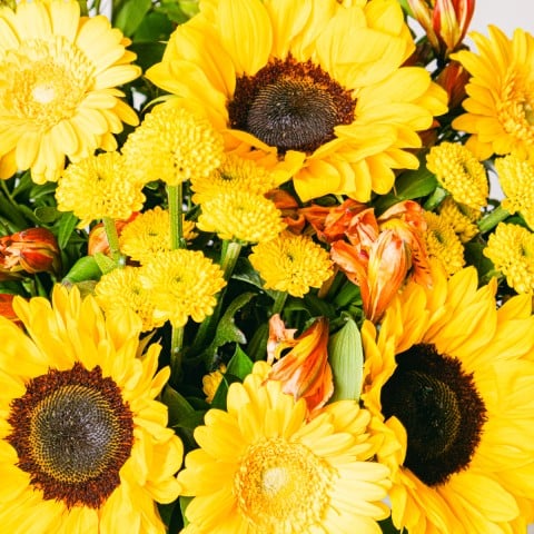 Seminyak: Sonnenblumen & Chrysanthemen highlight