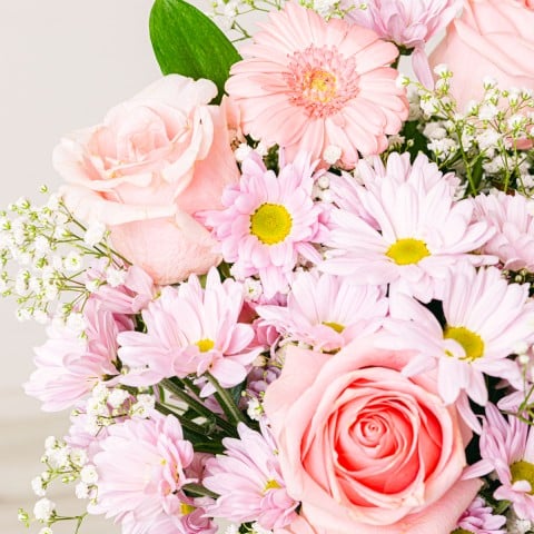 Vêtue de Rose : Roses et Gérberas highlight