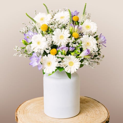 Family Love : Freesias et Limonium