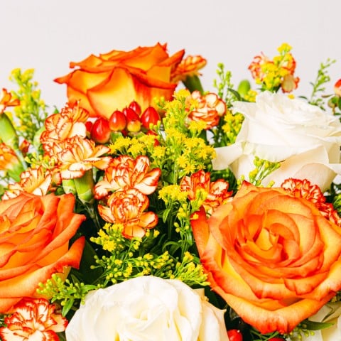 Rose Blooming : Roses et Oeillets highlight