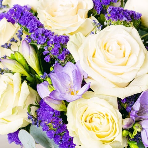 Beauté Élégante : Roses et Freesias highlight
