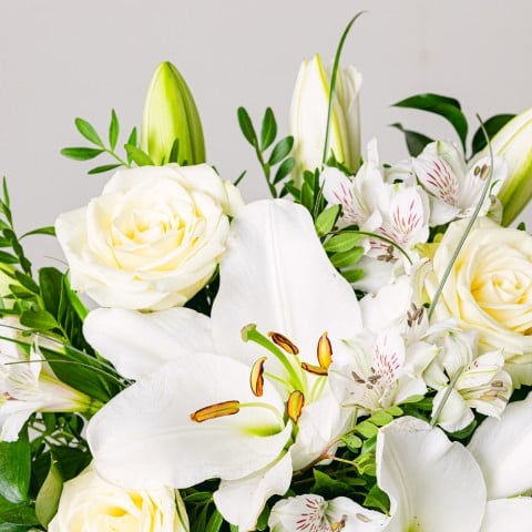Aurore: Lilien und Rosen highlight