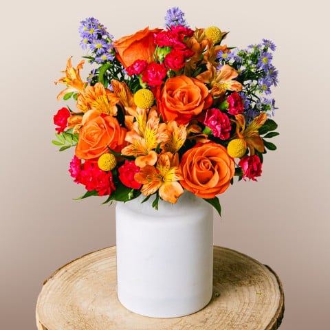 Bright Starts: Orange Rosen und Inkalilien