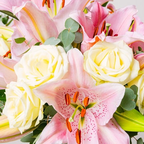 Candy: Lilien und Rosen highlight