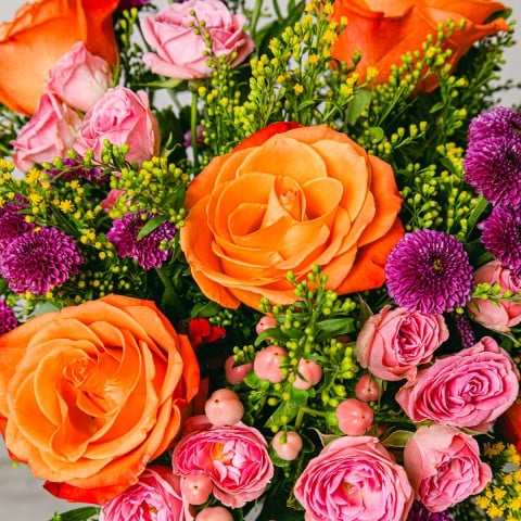 Coucher de soleil : Roses et Chrysanthèmes highlight