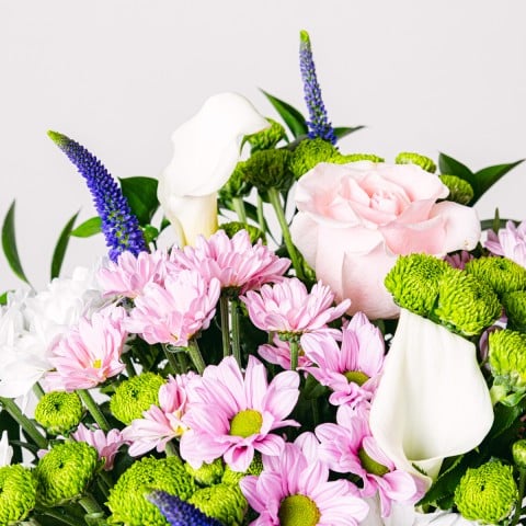 Crème Glacée : Chrysanthèmes et Roses highlight