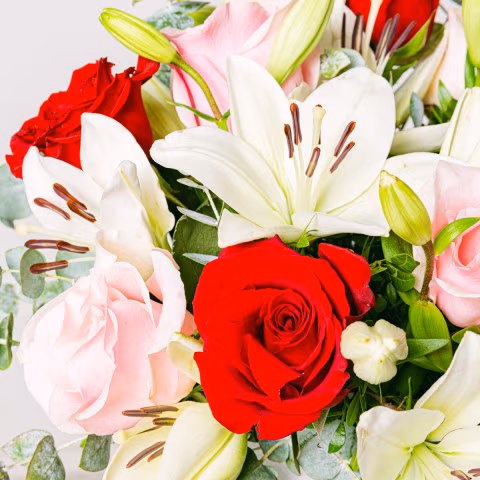Immer in der Nähe: Rosen und Lilien highlight