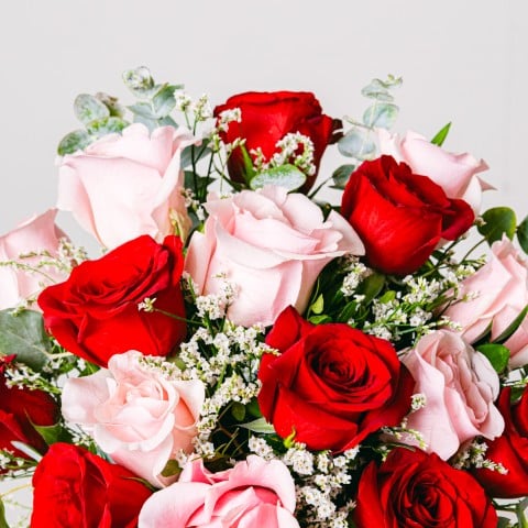 Süße Liebe: Rote und Pinke Rosen highlight