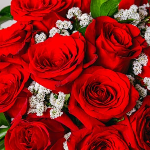 Amour Classique : 12 Roses Rouges highlight