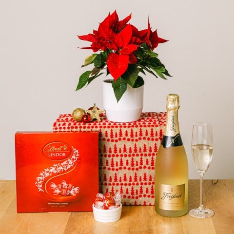 Holiday Spirit: Available 05/11