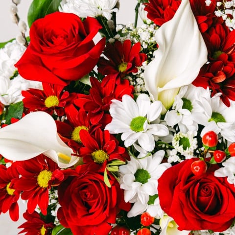 Harmonie Douce : Roses et Callas highlight