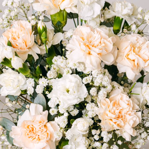 Romantische Blüten: Rosen und Nelken highlight