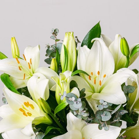 Bright Beginnings: Lilies highlight