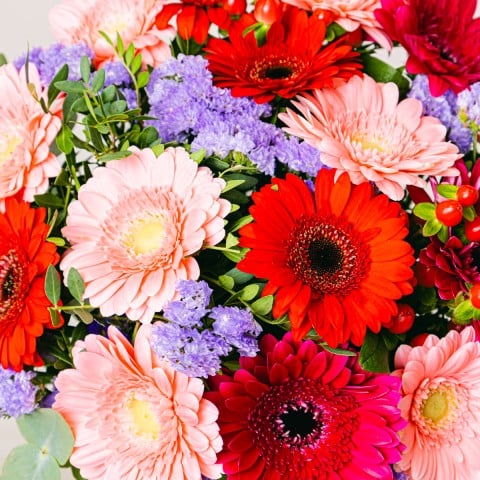 Smiles Combo: Gerbera und Nelken highlight