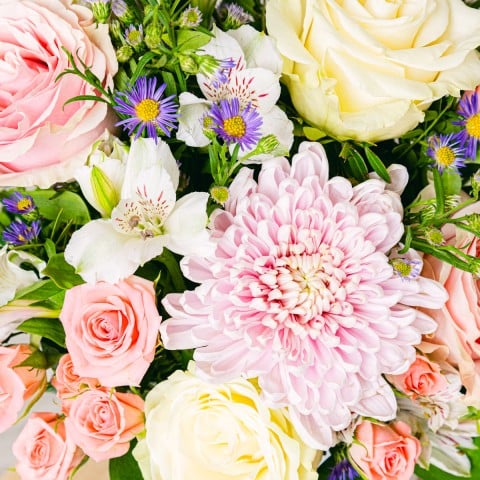 Double Floraison : Roses et Chrysanthèmes highlight